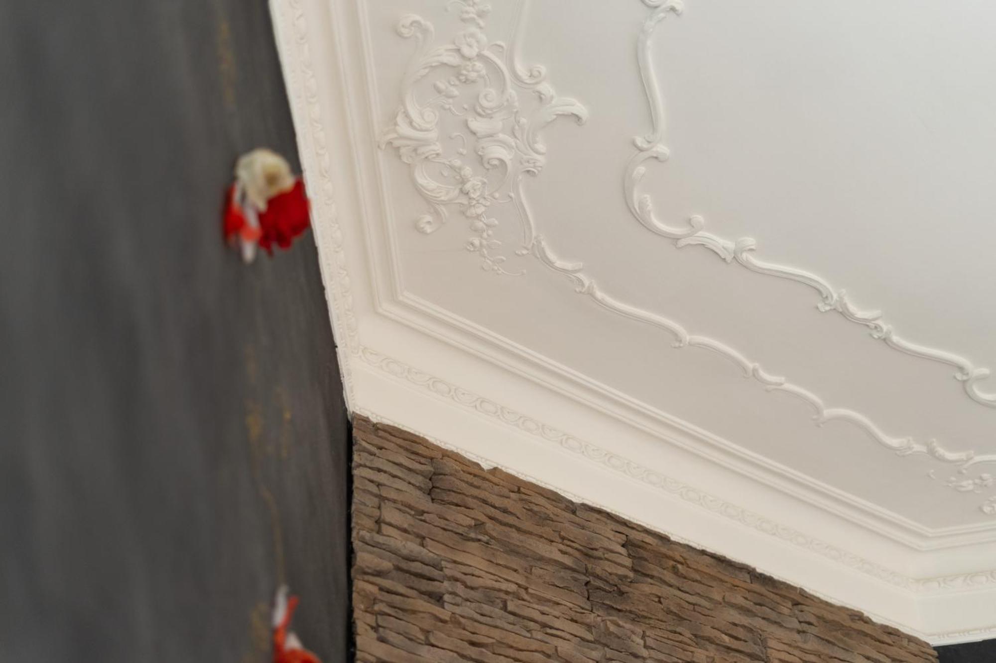 Bed and Breakfast Domus Premuda Rzym Zewnętrze zdjęcie